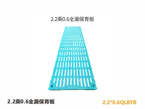 广东2.2乘0.6全漏保育板