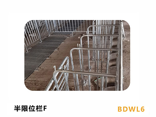 广东养猪场限位栏